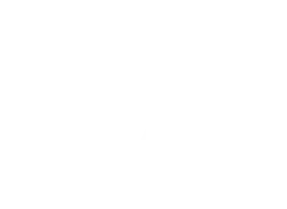 SamalinWealth Logo